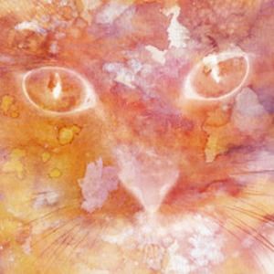 Meet your Posher, Ila